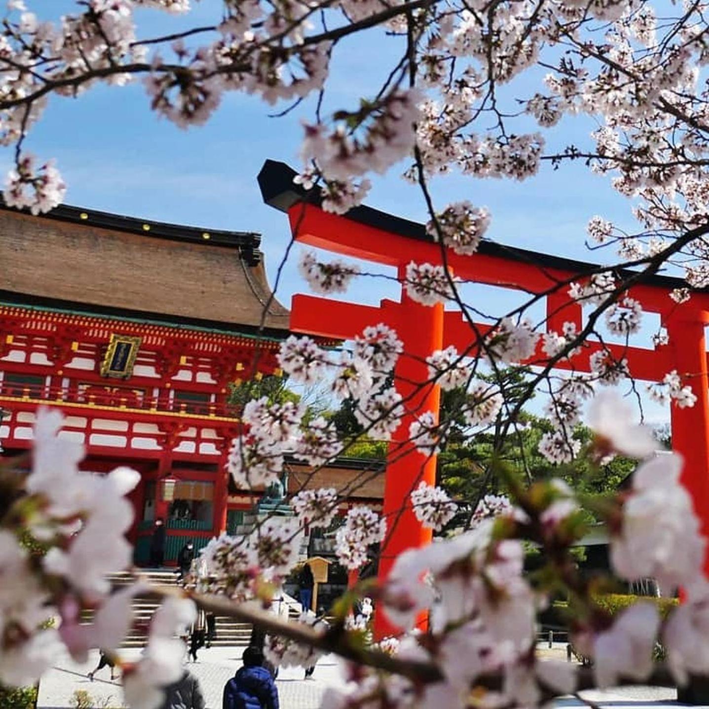 Апартаменты Kyoto Jujo 01 Экстерьер фото
